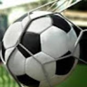 Meet your Posher, Bobbie